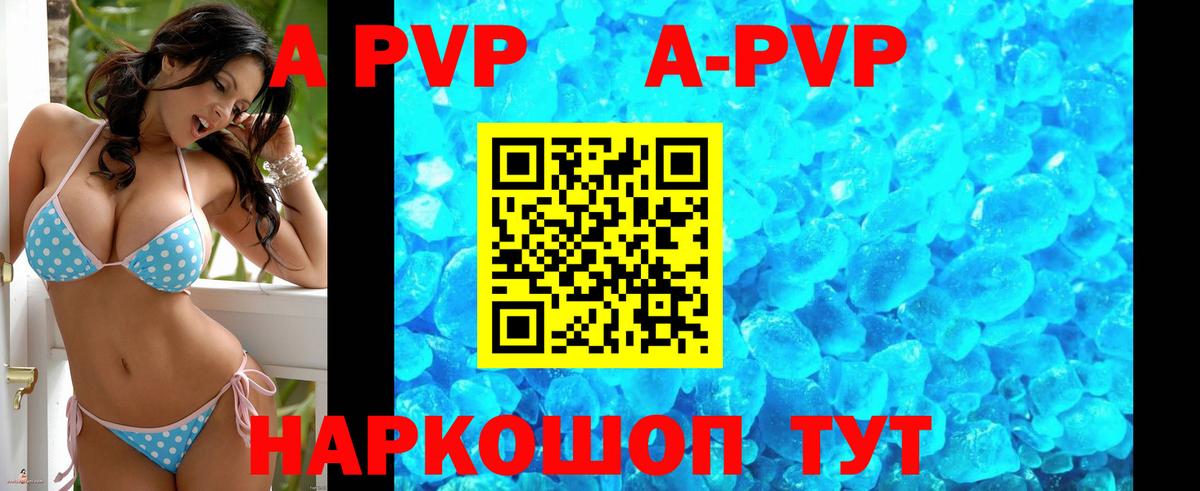 APVP СК Ногинск