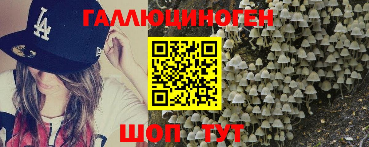 Ногинск  Галлюциногенные грибы MAGIC MUSHROOMS  Вход с VPN 