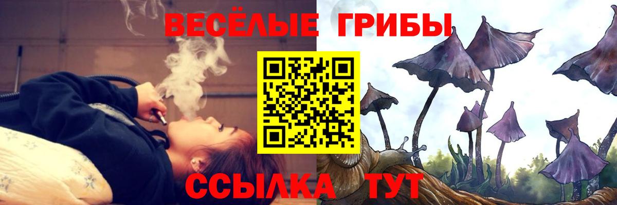 Псилоцибиновые грибы GOLDEN TEACHER Ногинск